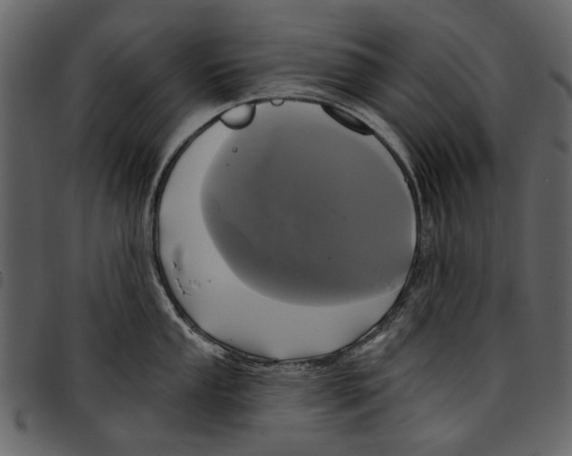 X0000097511053200803201611