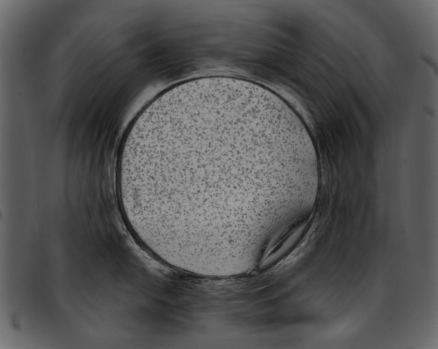 X0000097511054200803201611