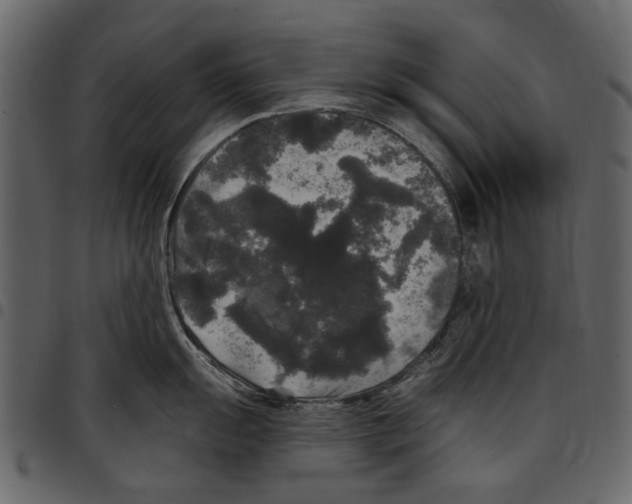 X0000097511055200803201611