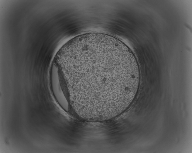 X0000097511056200803201611