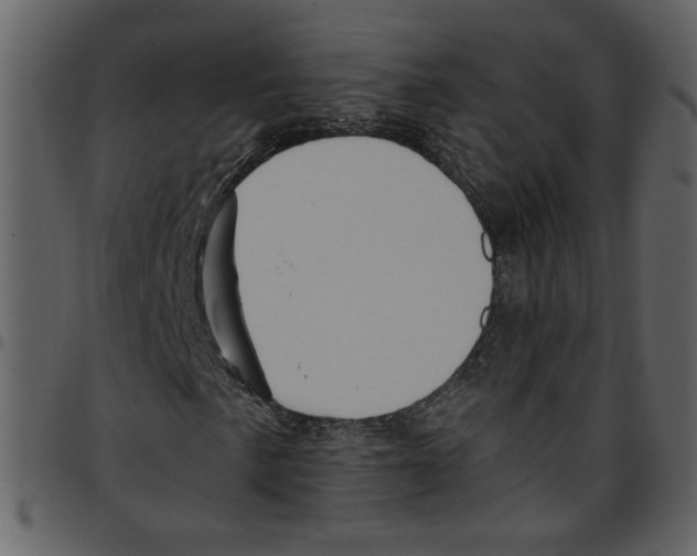 X0000097511057200803201610