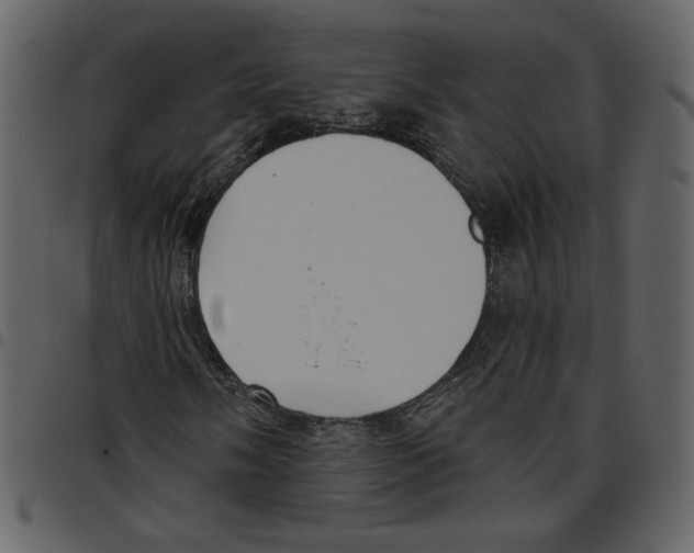 X0000097511058200803201610