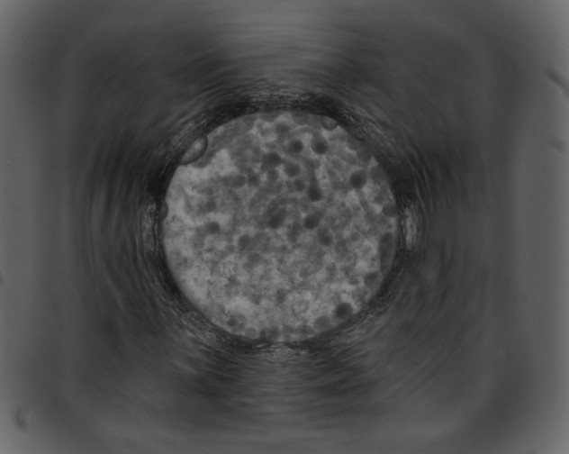 X0000097511059200803201610
