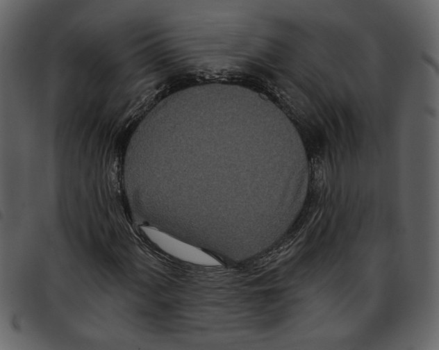 X0000097511060200803201610