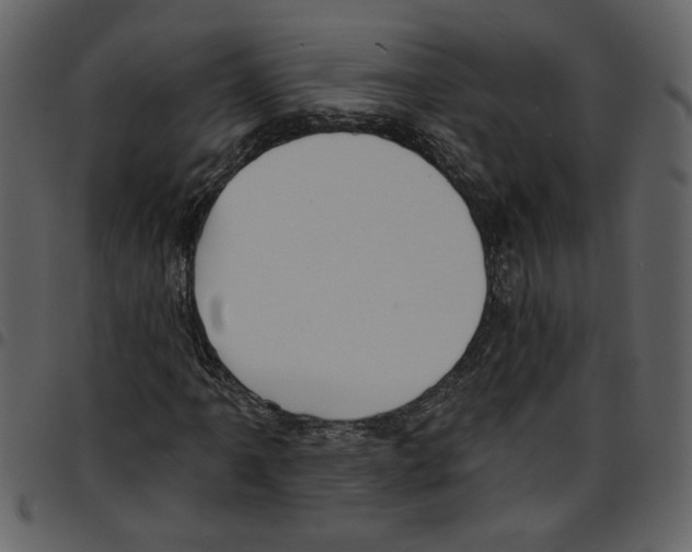 X0000097511061200803201610