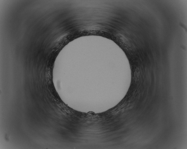 X0000097511062200803201610