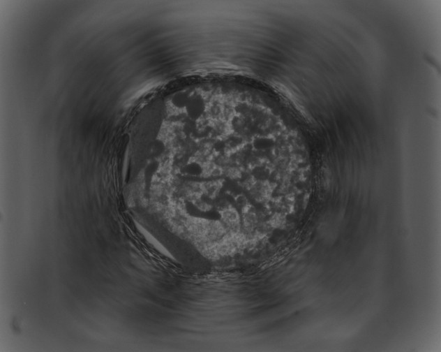 X0000097511063200803201610