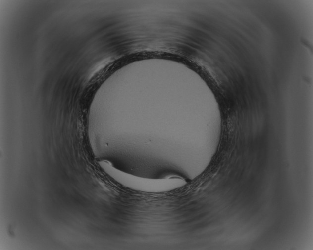 X0000097511064200803201610