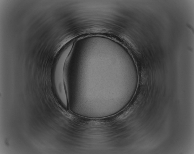 X0000097511065200803201610