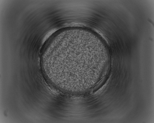 X0000097511066200803201610