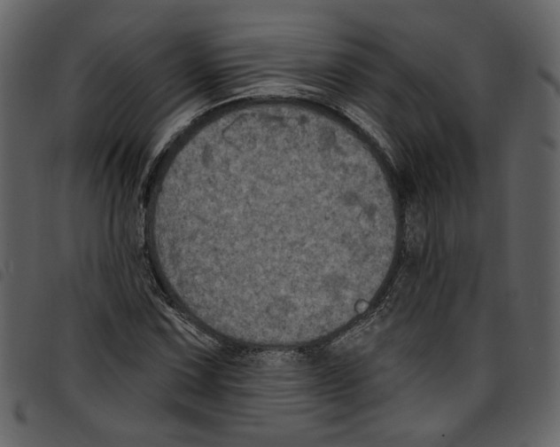 X0000097511067200803201610
