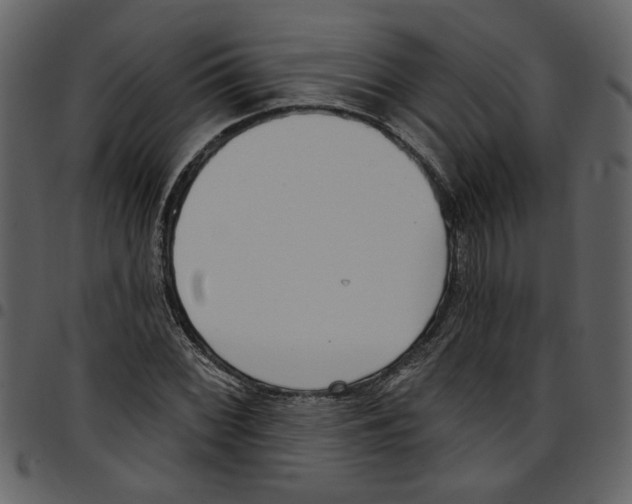 X0000097511068200803201610