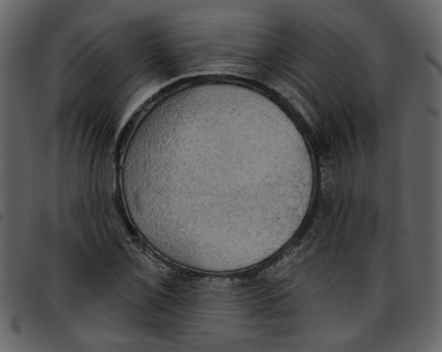 X0000097511069200803201610