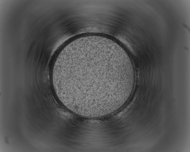 X0000097511070200803201610