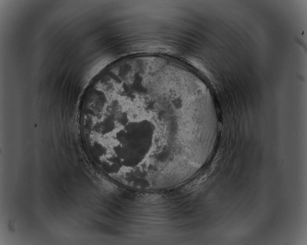 X0000097511071200803201610