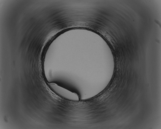 X0000097511072200803201610