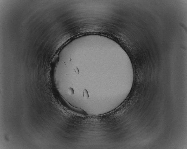 X0000097511073200803201610