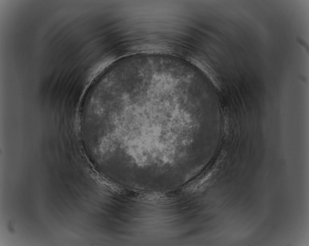 X0000097511074200803201610