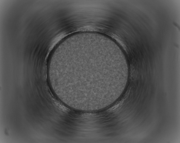 X0000097511075200803201610