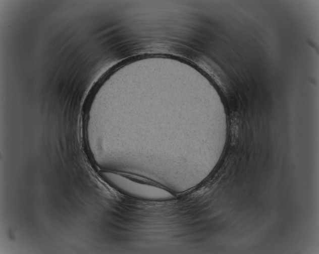 X0000097511076200803201610