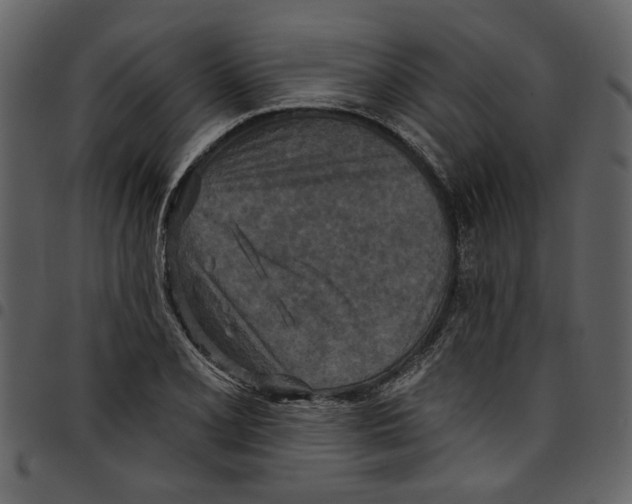 X0000097511077200803201610