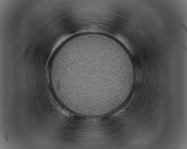 X0000097511078200803201610