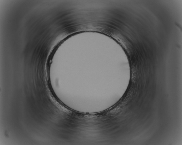 X0000097511080200803201610
