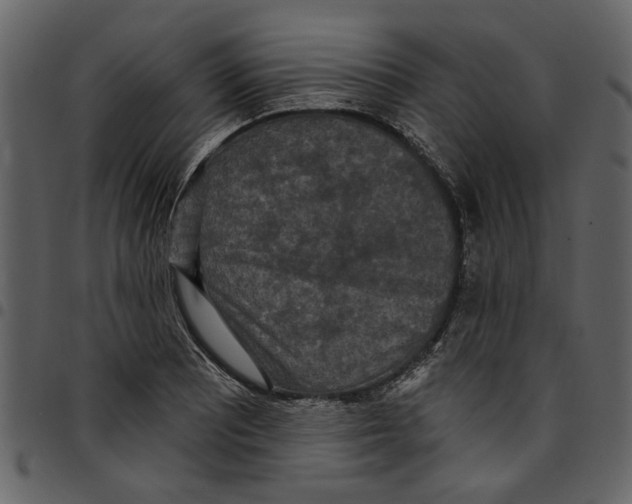 X0000097511081200803201610