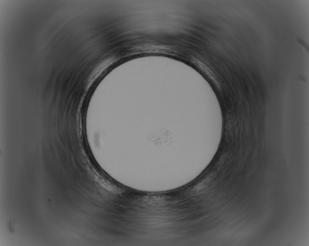 X0000097511082200803201610