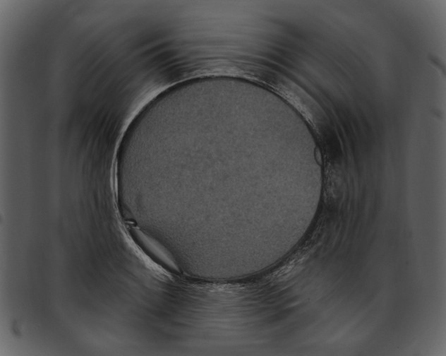 X0000097511084200803201610