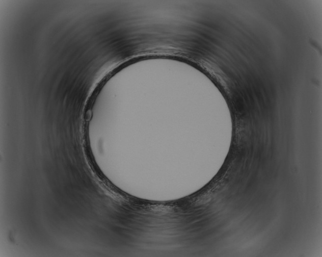 X0000097511085200803201610