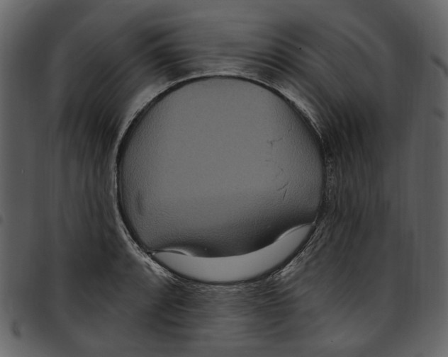 X0000097511088200803201610