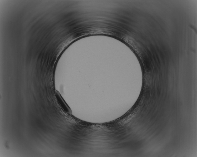 X0000097511089200803201610