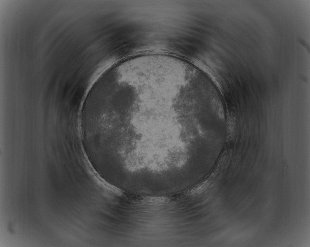 X0000097511090200803201610