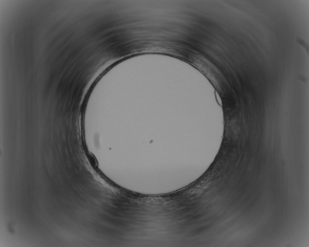 X0000097511092200803201610