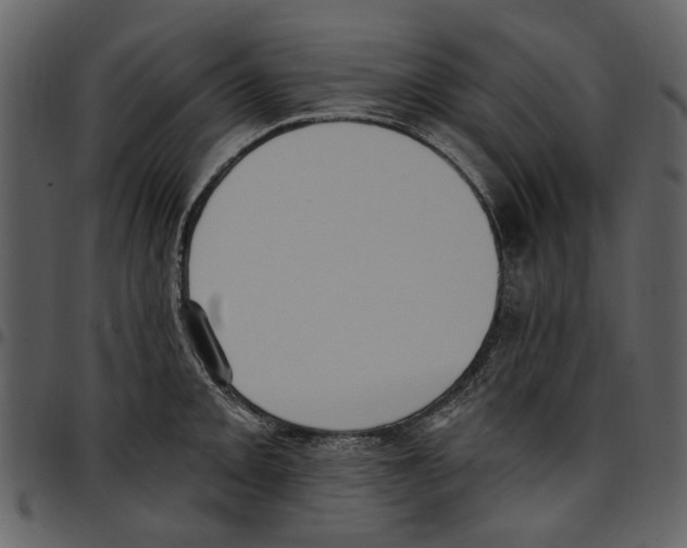 X0000097511093200803201610