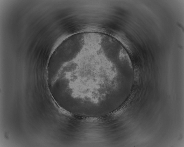 X0000097511094200803201610