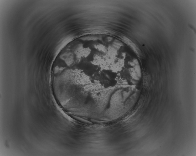 X0000097511095200803201610