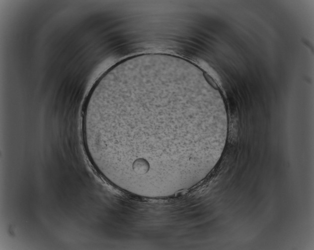 X0000097511096200803201610