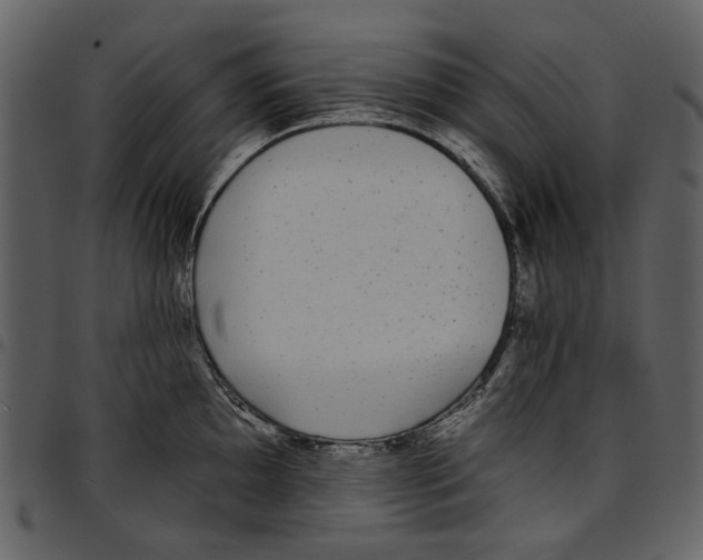 X0000097511097200803201610