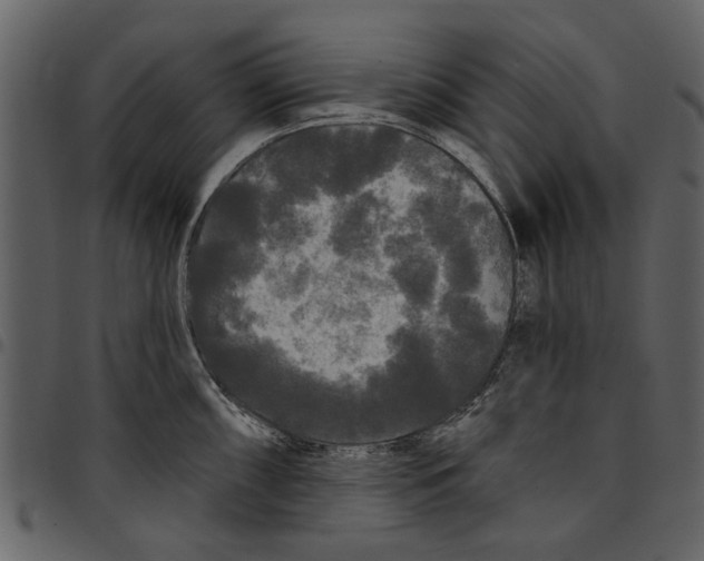 X0000097511098200803201610