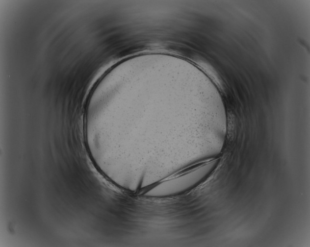 X0000097511100200803201610
