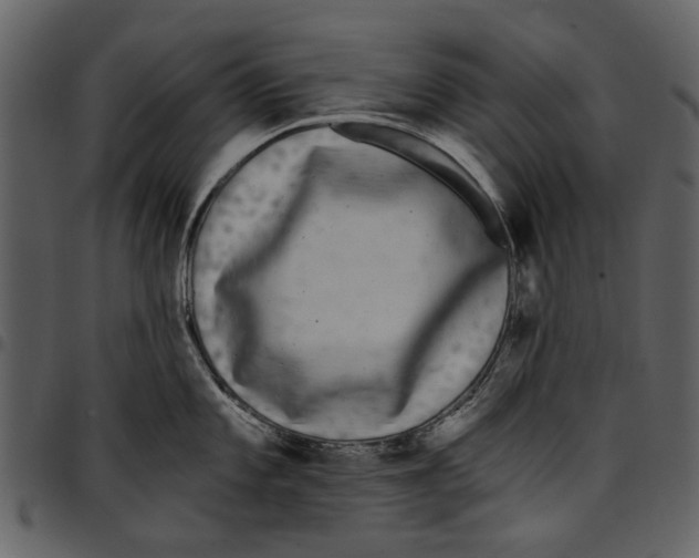 X0000097511101200803201610