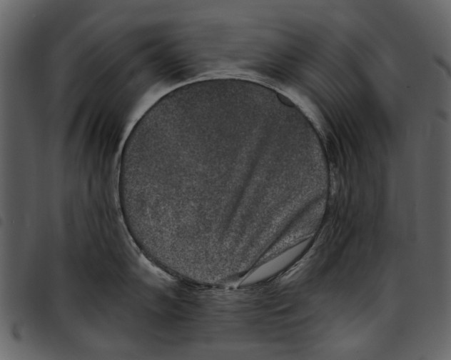X0000097511102200803201610