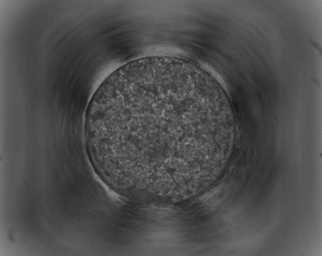 X0000097511103200803201610