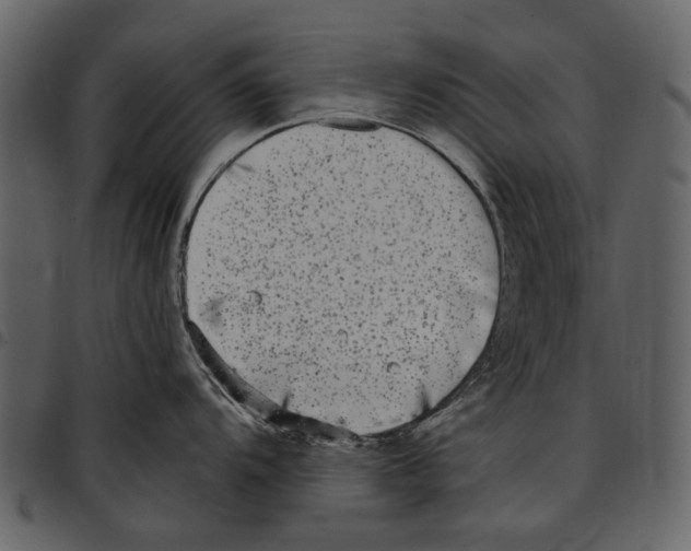 X0000097511104200803201610