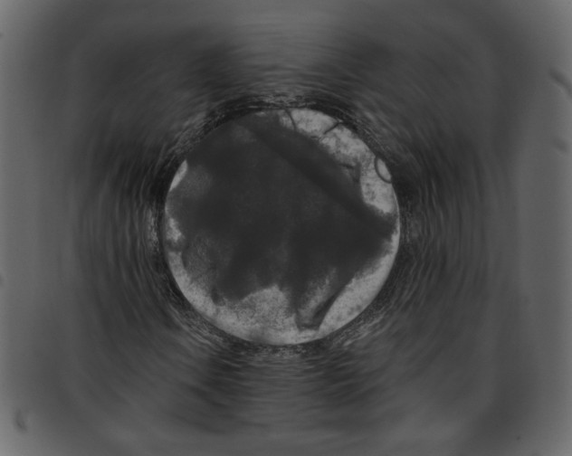 X0000097511106200803201609