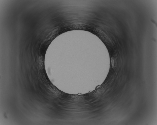 X0000097511107200803201609