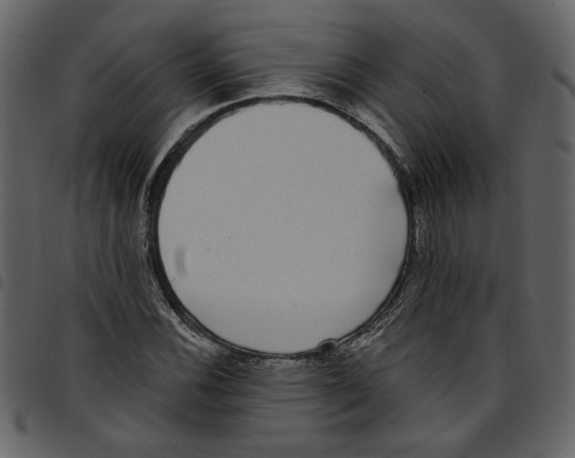X0000097511116200803201609