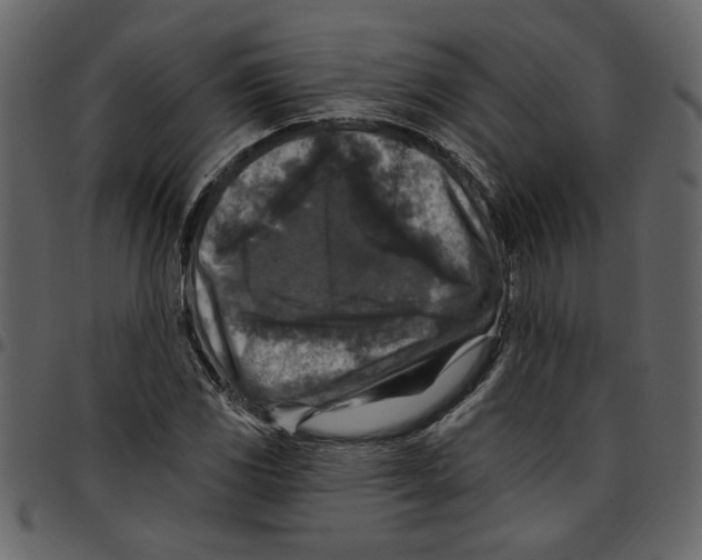 X0000097511117200803201609
